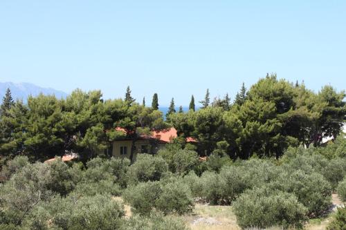 Apartments with a parking space Gradac, Makarska - 6881