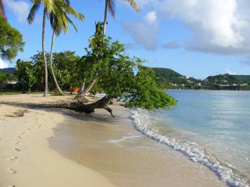 Studio Corail - 5 min a pied de la plage