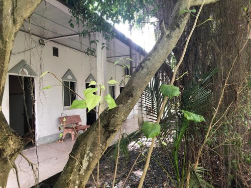 Huong Tram in Tinh Bien