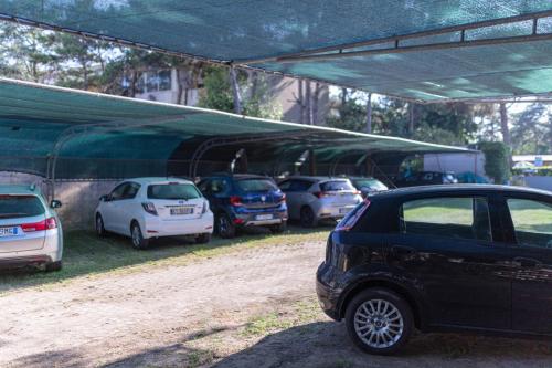 Hotel Villa Aspe - image 7