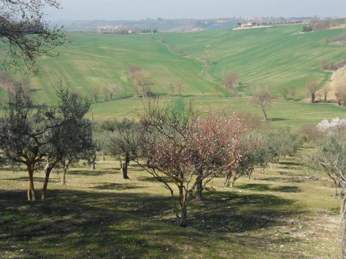 Agriturismo Il Poggiolo