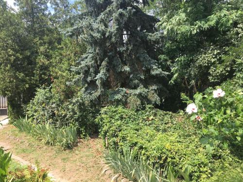  Gajdosi Vendégház in Mátészalka