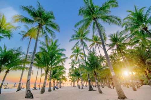 South Palms Resort17