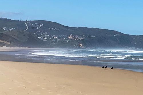 المنطقة المحيطة, Rus & Roes Beach Home in جوكاما