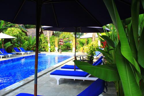Θέα, Turtle Beach Hotel in Lombok
