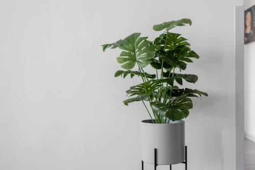 Locals Xi'an Weiyang North passenger station subway station in Északi Városrész