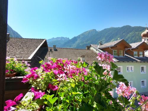 景觀, Pension Jagerhof - Sommercard Inkl - 5 Min zum Hochzeiger in 耶爾岑斯