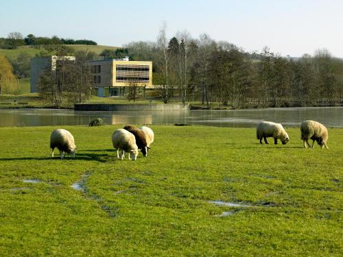 Youth Hostel Echternach - image 10