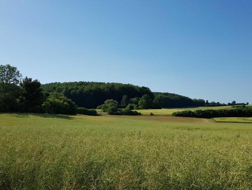 Ferienhaus Forstblick