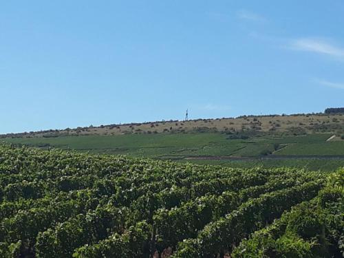 Alrededores, La Layotte in Vosne-Romanee