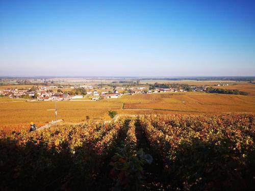 Alrededores, La Layotte in Vosne-Romanee