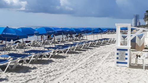 The Tides Apartments on the beach - image 11