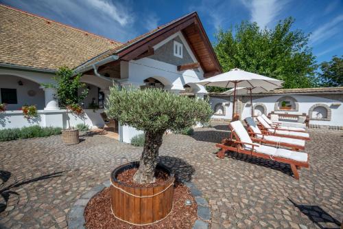 Provence Birtok in Dinnyeberki