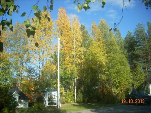 Ruska Bed & Breakfast - image 6