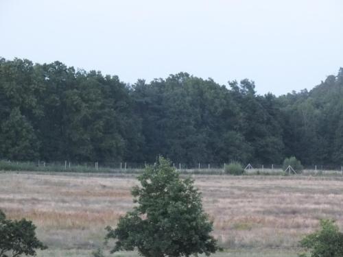 周邊環境, Waldblick in 阿爾特什未林
