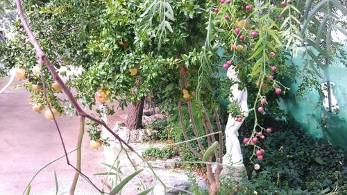 Alojamiento Rural la Caseria de Piedra Restaurante