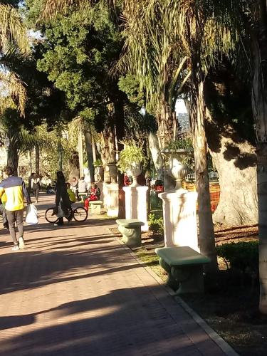 Calido en Parque Lezama