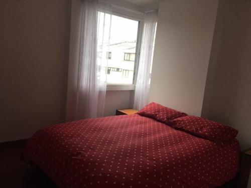 Home - Flat