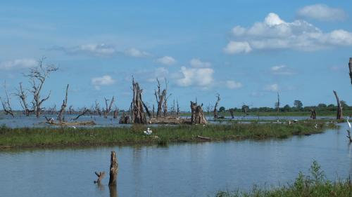 Pemandangan, Buddika Safari & Resort in Udawalawe