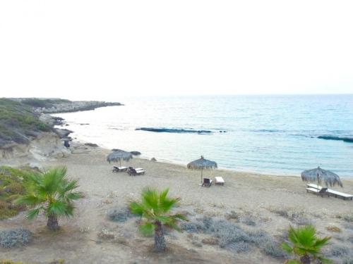 Balci Plaza Hotel and Balci Plaza guest Bungalows Karpaz peninsula in Yeni Erenköy