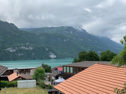 Francy - Partial lake view, Brienz (Foto 3)