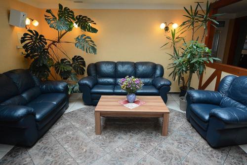 大堂, 伊瓦布魯恩酒店 (Hotel Evabrunnen) in 比紹夫斯韋達