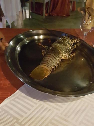 Villa Tourelle of Paradise with heated bigPrivate Pool May to Aug Villa Tourelle of Paradise with heated bigPrivate Pool May to Aug