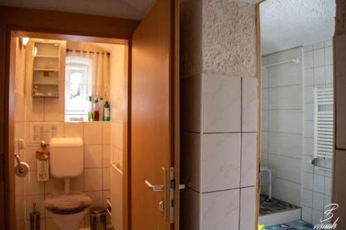 Ferienwohnung Eulennest 9.3km von Frauenstein entfernt