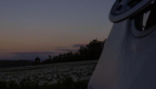 Domescapes in the Vines