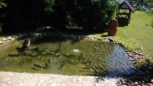 Kert, Apartman Route 18 in Svaty Kriz