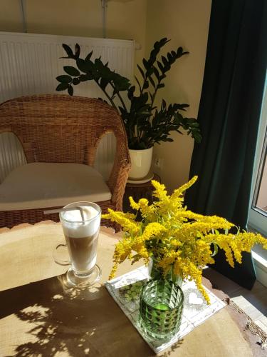 Apartament Pod Jelonkiem, Szklarska Poręba (foto 2)