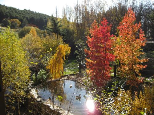 Hotel Rural Los Frutales