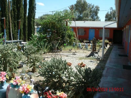 Safari Motor Inn - Joshua Tree - 정원