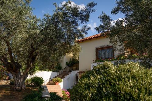  Danais Apartment (in a beautiful garden) in Nafplio