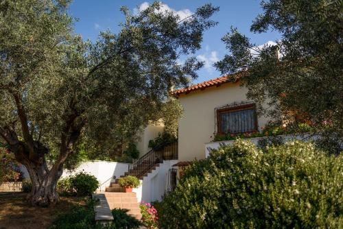  Danais Apartment (in a beautiful garden), Pension in Nafplio