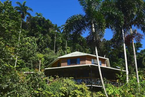 A Daintree Garden