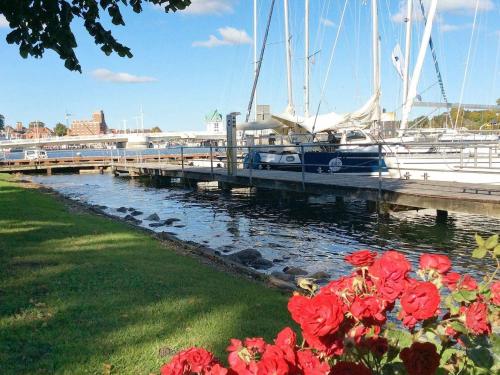 Holiday home Kappeln III - image 3