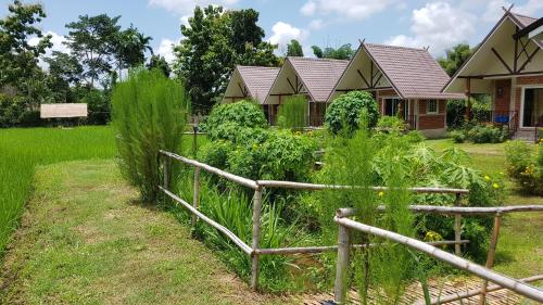 ฮ้างนาตาจันทร์, Pua (foto 10)