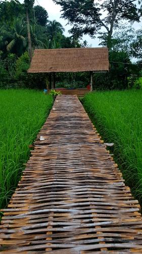 ฮ้างนาตาจันทร์, Pua (foto 6)
