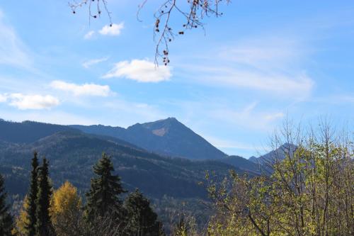 Hochgallinger Hof - image 3