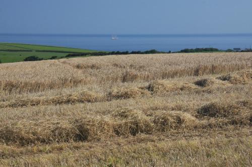 Bayview Farm Holiday Cottages - image 9