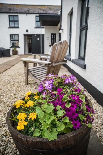 Bayview Farm Holiday Cottages - image 4