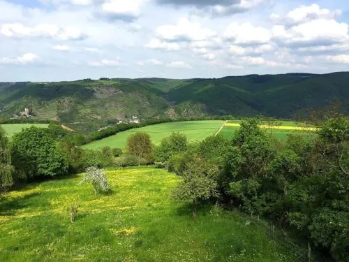 Exklusive Ferienwohnung Lurelei 150 qm mit Traumblick 4 bis 9 P in Bacharach, Deutschland