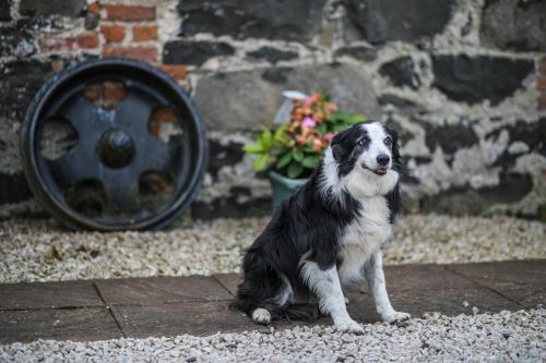Bayview Farm Holiday Cottages - image 4