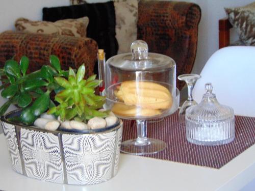 Five stars in Trikala