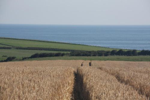 Bayview Farm Holiday Cottages - image 5