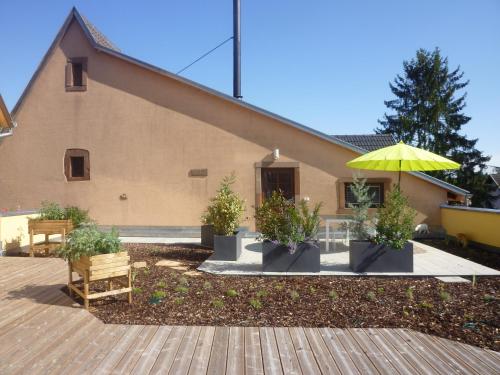 LA TÊTE AU SOLEIL (LA TETE AU SOLEIL) in Rouffach