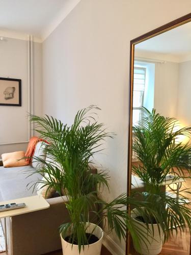 Beautiful apartment in the heart of Warsaw, Poznanska, Varšava (fotografie 6)