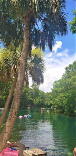 Canoeing, Little Ridge Ranch-East House Quiet Country Getaway-Pet Friendly! in Micanopy (FL)