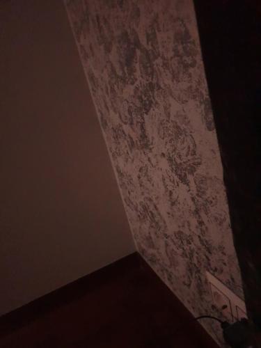  Casa Salvador, Unterkunft in Carregosa